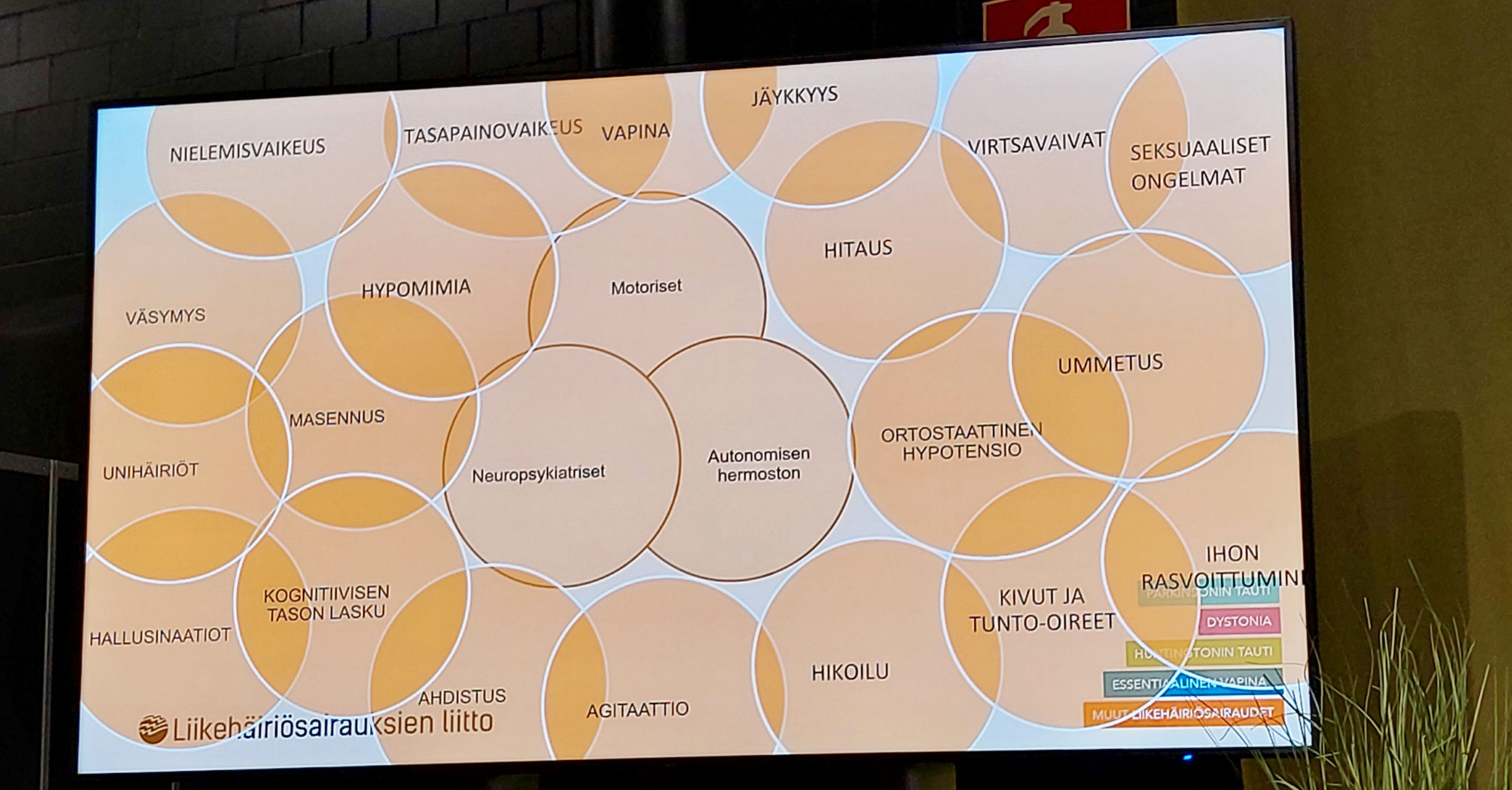 Kuva powerpoint-esityksen kuvasta, jossa sanoja sisältäviä palloja.